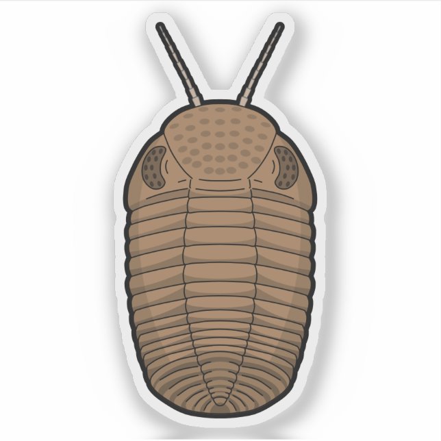 Brown Phacops Trilobit - prähistorisches TierVinyl Aufkleber (Vorderseite)