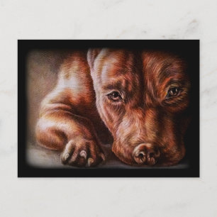 Brown pitbull face drawing of pet portrait dog postkarte