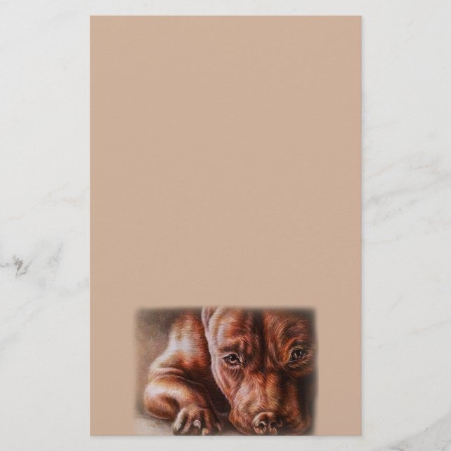 Brown pitbull Gesichtszeichnen des Briefpapier (Vorderseite)