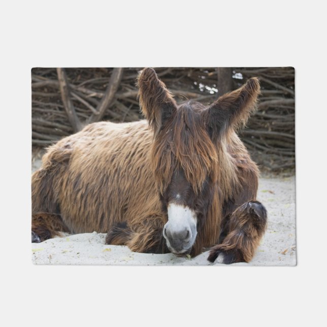 Brown Poitou Donkey Fußmatte (Vorderseite)