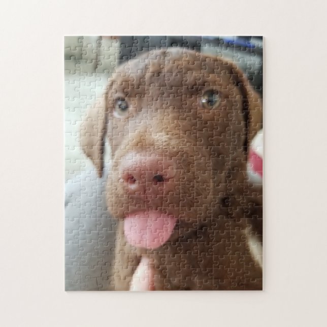 Brown Puppy Puzzle (Vertikal)