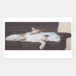 Brown Puppy White American Bulldog Rechteckiger Aufkleber