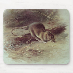 Brown-Ratte 1918 Mousepad