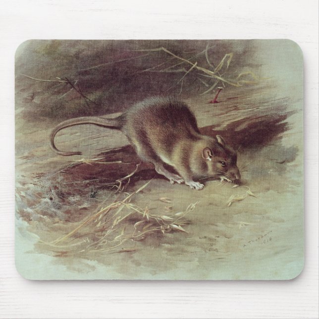 Brown-Ratte 1918 Mousepad (Vorne)