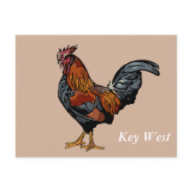 Brown Rooster Key West Post Card