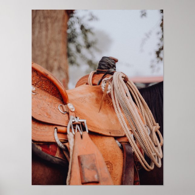 Brown Saddle mit Rope Cowboy Poster (Vorne)