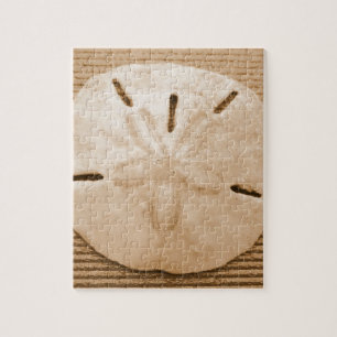 Brown-Sand-Dollar Puzzle