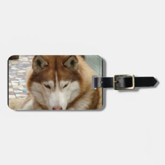 Brown-Schlittenhund-Gepäckanhänger Gepäckanhänger