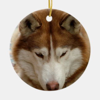 Brown-Schlittenhund-Verzierung Keramikornament
