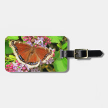 Brown-Schmetterling mit blauen Stellen