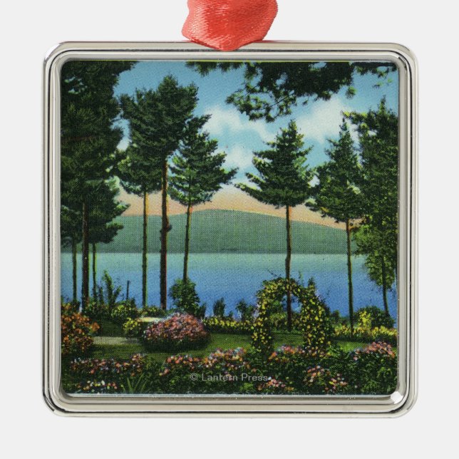 Brown-Schwan-Park-Ansicht des Sees Silbernes Ornament (Vorne)