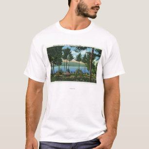 Brown-Schwan-Park-Ansicht des Sees T-Shirt