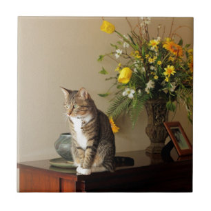 Brown schwarze Tabbykatze, die auf Klavier-Blumen Fliese