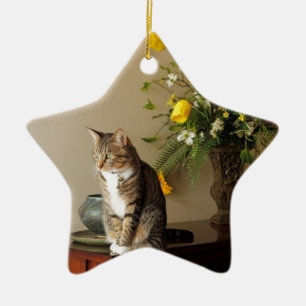 Brown schwarze Tabbykatze, die auf Klavier-Blumen Keramikornament