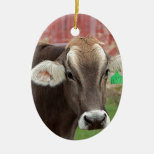 Brown-Schweizer-Kuh Keramikornament