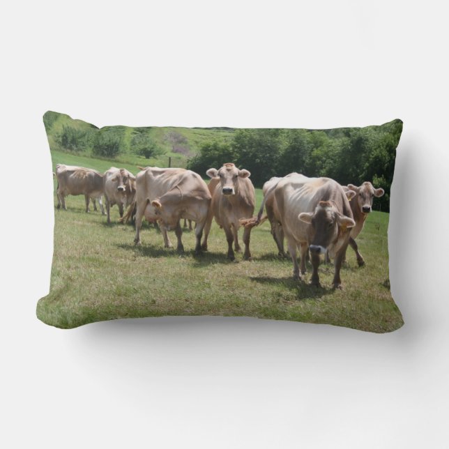 Brown-Schweizer-Nickerchenkissen Lendenkissen (Vorderseite)