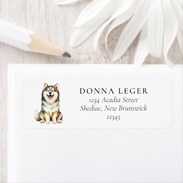 Brown Siberian Husky Dog Address (Insitu)