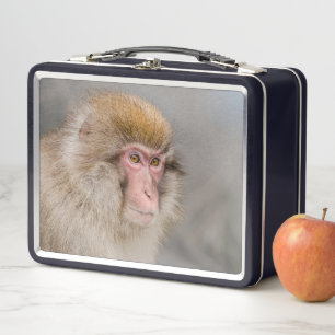 Brown Snow Monkey, japanische Fotografie Metall Brotdose
