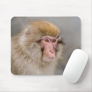 Brown Snow Monkey, japanische Fotografie Mousepad