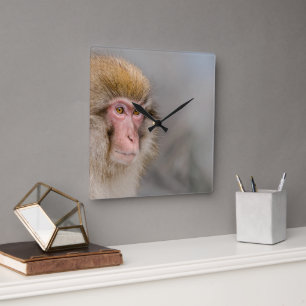 Brown Snow Monkey, japanische Fotografie Quadratische Wanduhr