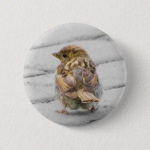 Brown Sparrow Button