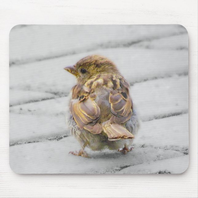Brown Sparrow Mousepad (Vorne)