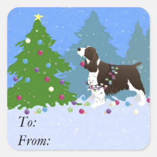 Brown Springer Spaniel Dekorieren Weihnachtsbaum Quadratischer Aufkleber