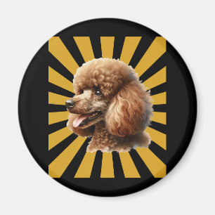 Brown Standard Poodle Retro Sunburst Magnet