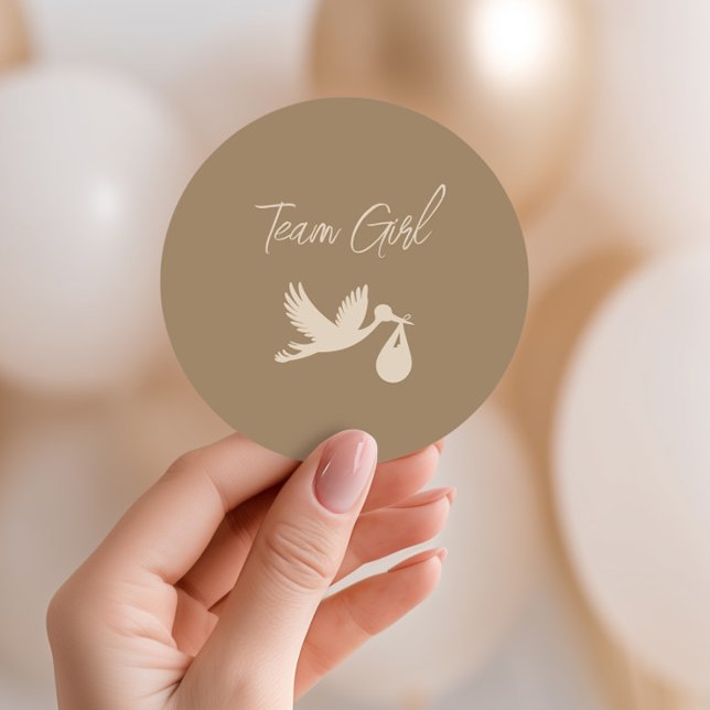 Brown Stork Baby Delivery Gender Reveal Team Girl Runder Aufkleber (Von Creator hochgeladen)