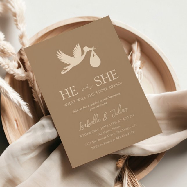 Brown Stork Baby Delivery He or she Gender Reveal Einladung (Von Creator hochgeladen)