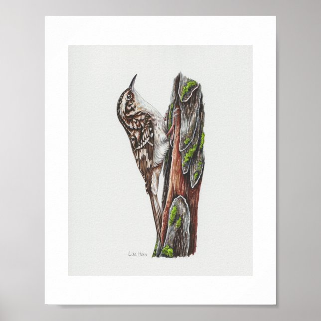 Brown Strampler Art Print Poster (Vorne)