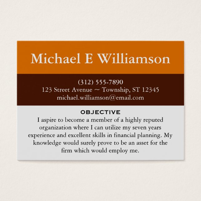 Brown Stripe Orange RESUME Visitenkarten (Vorderseite)
