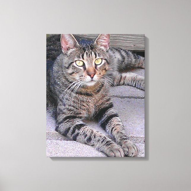 Brown Tabby Cat Außenbereich Leinwanddruck (Vorderseite)