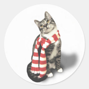 Brown Tabby Cat in einem Rot-Weiß-Schal Runder Aufkleber