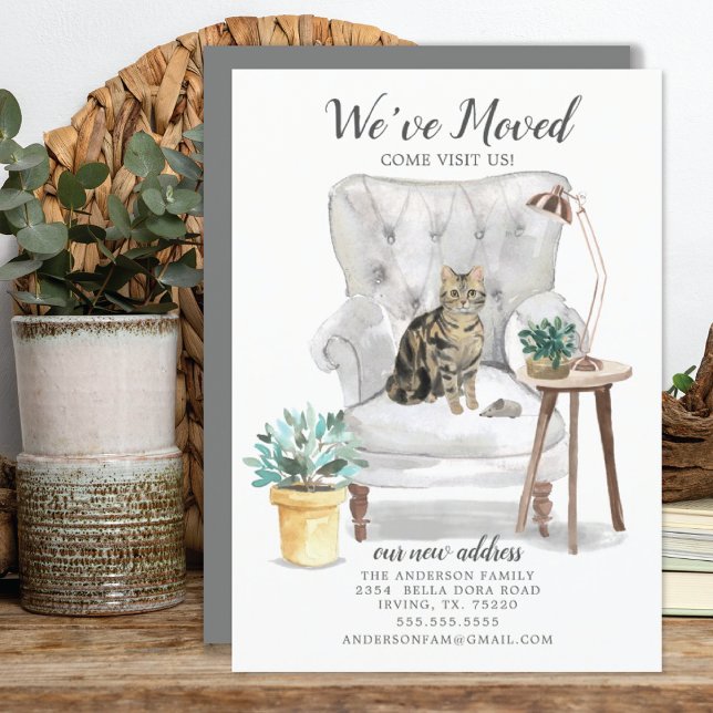 Brown Tabby Cat Moving Ankündigung (Von Creator hochgeladen)