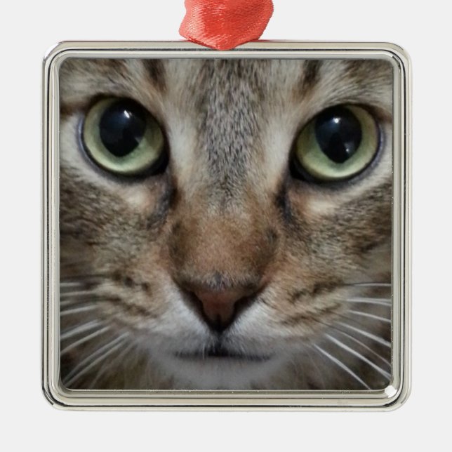 Brown Tabby Cat Ornament Aus Metall (Vorne)