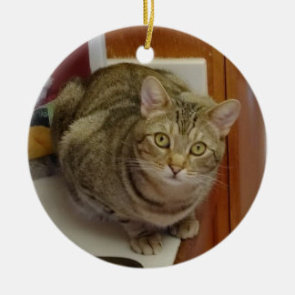 Brown Tabby Cat Weihnachtsschmuck