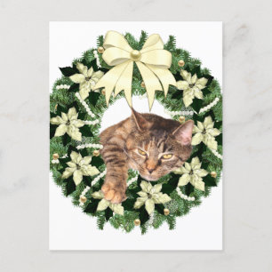 Brown tabby Christmas Feiertagspostkarte