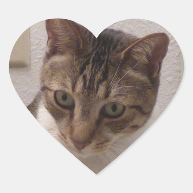 Brown Tabby Heart Stickers (Vorderseite)