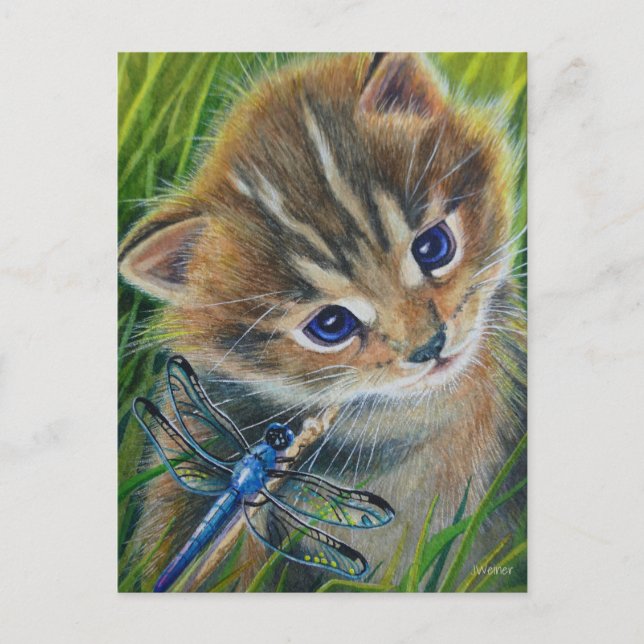 Brown Tabby Kitten & Dragonfly Postkarte (Vorderseite)