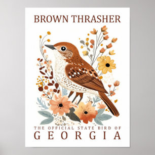 Brown Thrasher Bird of Georgia USA Travel Poster