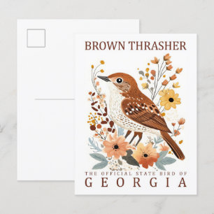 Brown Thrasher Bird of Georgia USA Travel Postkarte