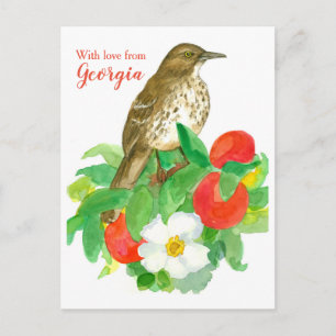 Brown Thrasher mit Liebe aus Georgien Postkarte
