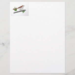 Brown Thrasher Stationery Briefbogen