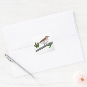 Brown Thrasher Sticker