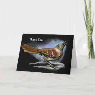 Brown Thrasher: Vogel: Tier-Kunst: Danke