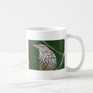 Brown Thrasher w/Catch of the Day Geschenke Beklei Tasse