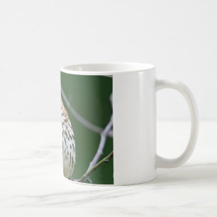 Brown Thrasher w/Catch of the Day Geschenke Beklei Tasse