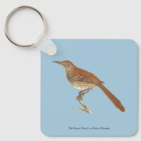 Brown Thrush oder Brown Thrasher, New Yorker Vögel