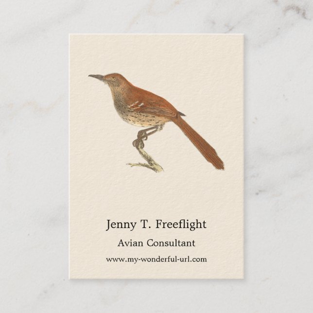 Brown Thrush oder Brown Thrasher, New Yorker Vögel Visitenkarte (Vorderseite)